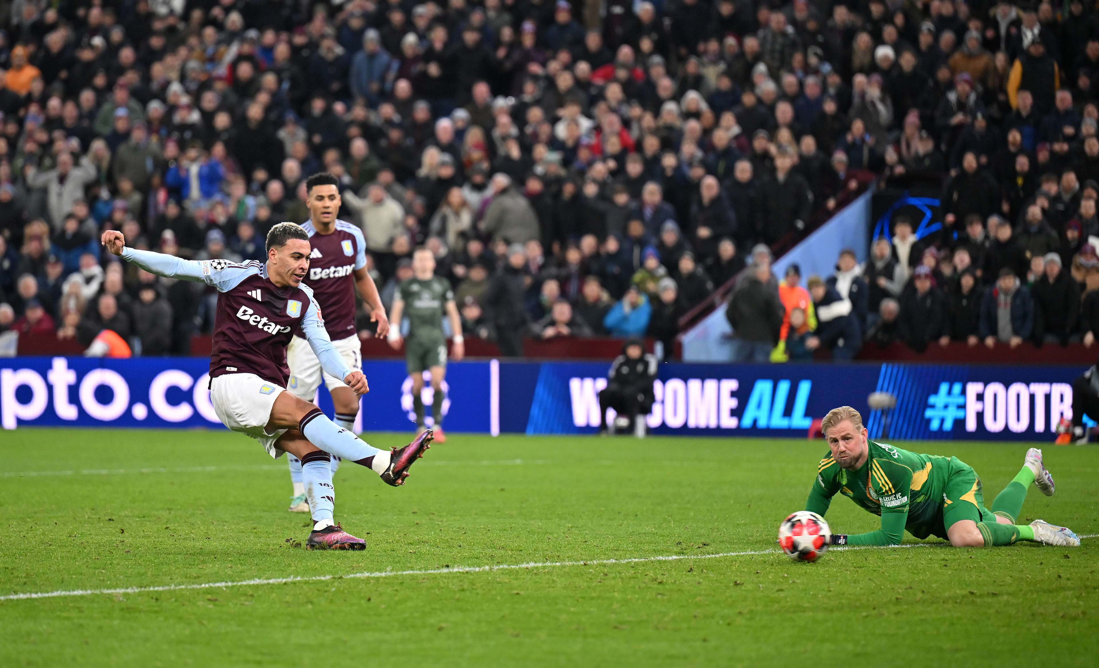 不拔的信心 不拔的信心