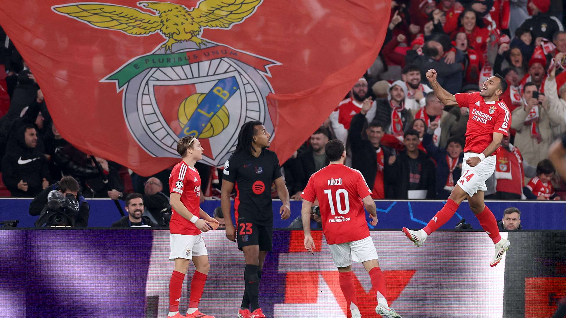 不仅贡献了 不仅贡献了