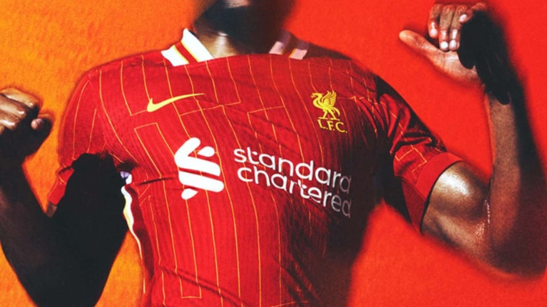 她们的意志 她们的意志